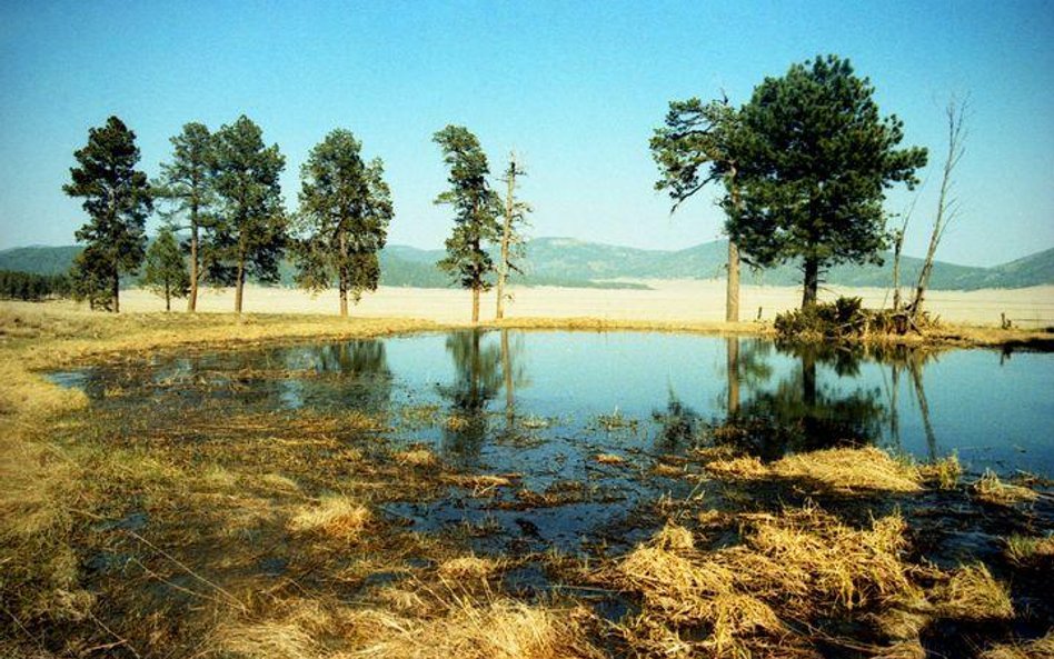 Wysychające jezioro Valles Caldera w Nowym Meksyku. Fot. leahleaf