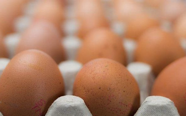 KE chce spotkania państw członkowskich UE w sprawie skandalu z jajami