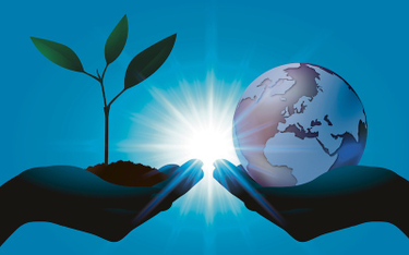 Ekologiczne podejście – jak pomóc planecie
