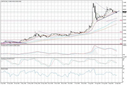 Wykres dzienny USDTRY