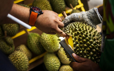 Farmerom, którzy naruszą standardy jakości duriana, grozi nawet odsiadka. Na zdjęciu klient na targu