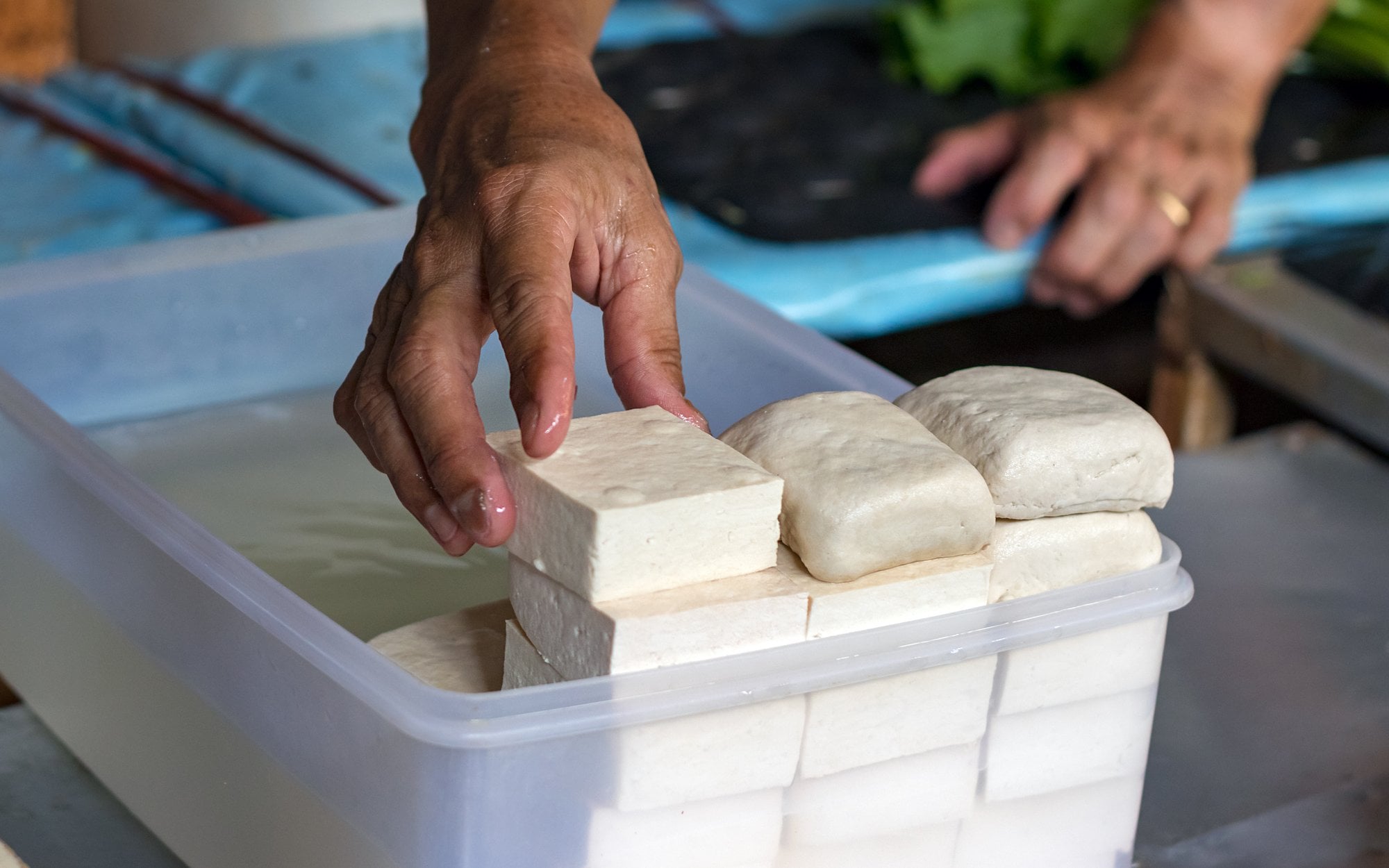 Tofu tops the list, cheddar at the bottom: new ranking of 20 protein sources