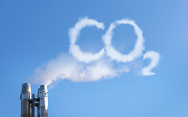 Spada popyt na CO2