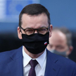 Andrzej Malinowski: Rząd się zmienia, paprotki zostają