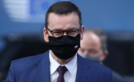 Andrzej Malinowski: Rząd się zmienia, paprotki zostają