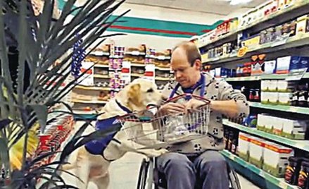 Pies, który uratował rodzinę