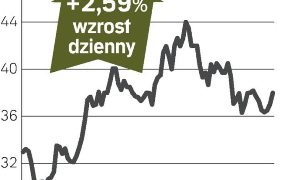 Krauze chce wyższej dywidendy