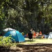 Kolonie w małych grupach i tylko dla zdrowych dzieci