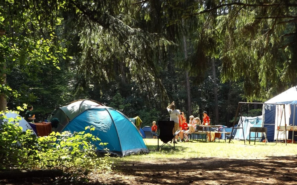 Kolonie w małych grupach i tylko dla zdrowych dzieci