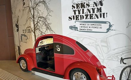 W galerii „Re:generacja” stanie 80 interaktywnych eksponatów