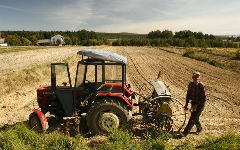 Mimo niższego zatrudnienia wielkość produkcji rolnej wzrosła w okresie 10 lat o 4 proc.