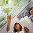 Studenci mogą dziś się kształcić m.in. na kierunkach przygotowujących ich do pracy nad nowymi rozwią