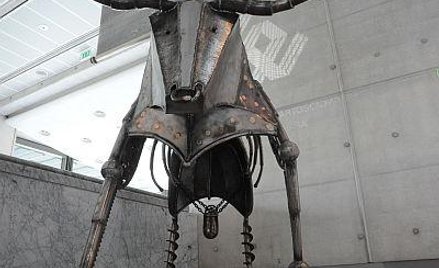 Lokomotywy giełdy: Zwycięzcy sprzed roku zachowali dobrą kondycję