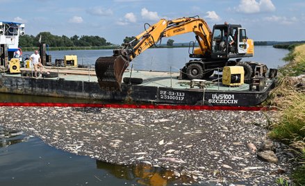 Akcja usuwania martwych ryb w Krajniku Dolnym, 15 sierpnia