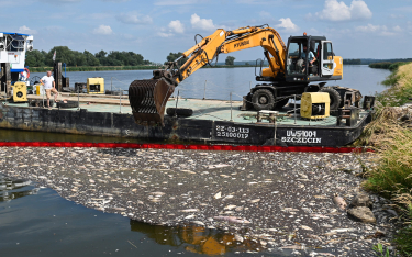 Akcja usuwania martwych ryb w Krajniku Dolnym, 15 sierpnia