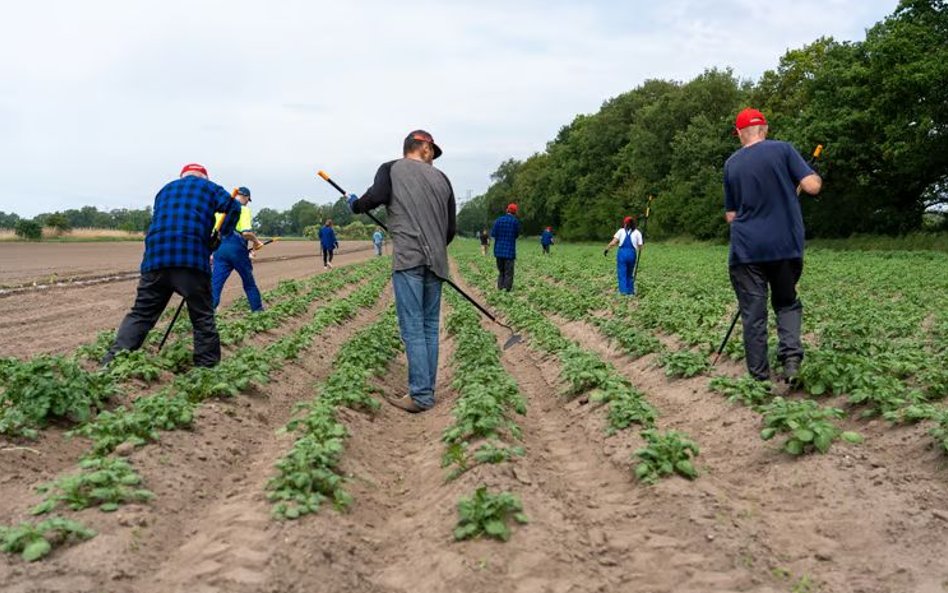 Farma miejska we Wrocławiu