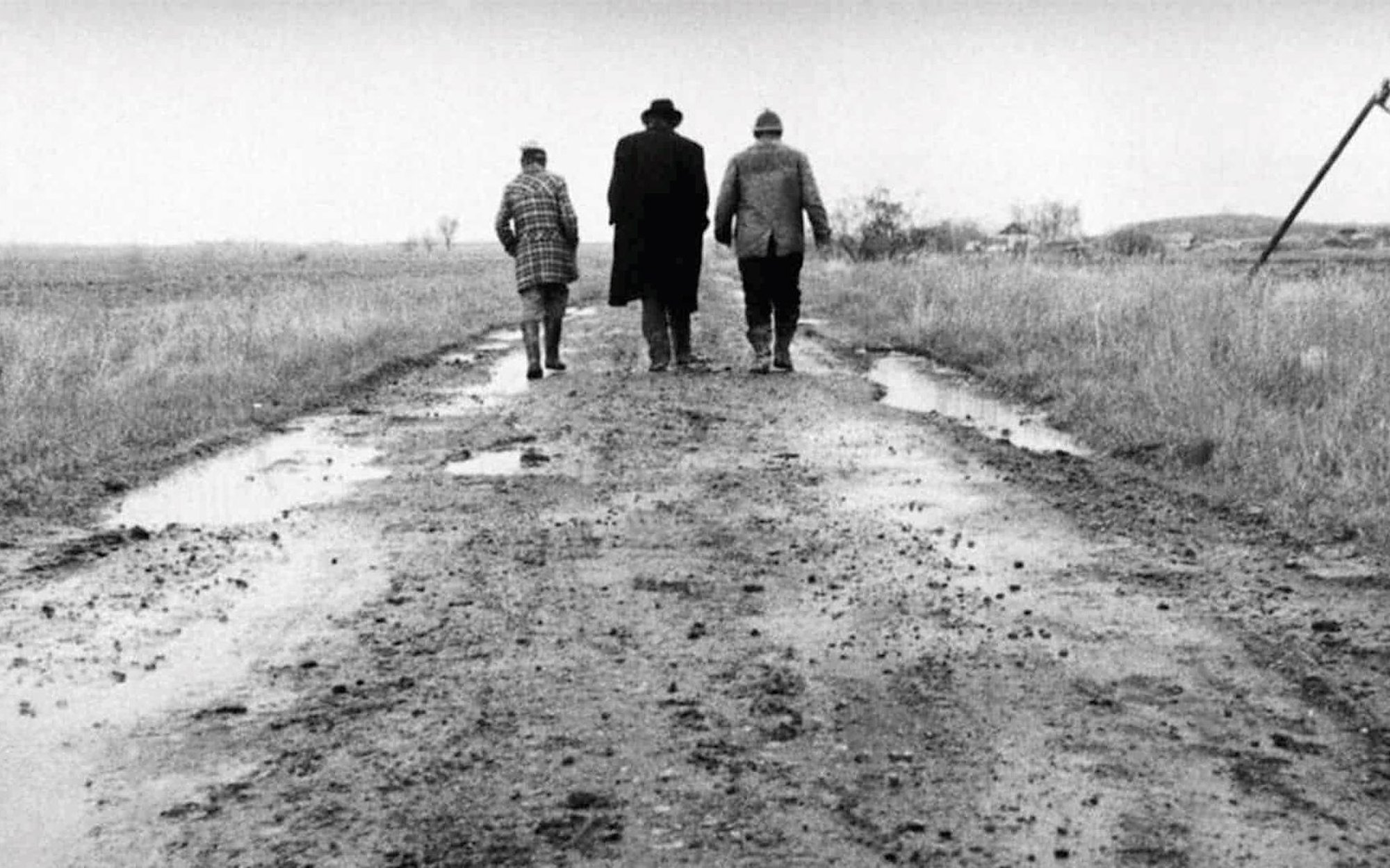 „Szatańskie tango”: Beznadzieja podana bezpośrednio