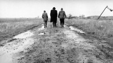 „Szatańskie tango”: Beznadzieja podana bezpośrednio