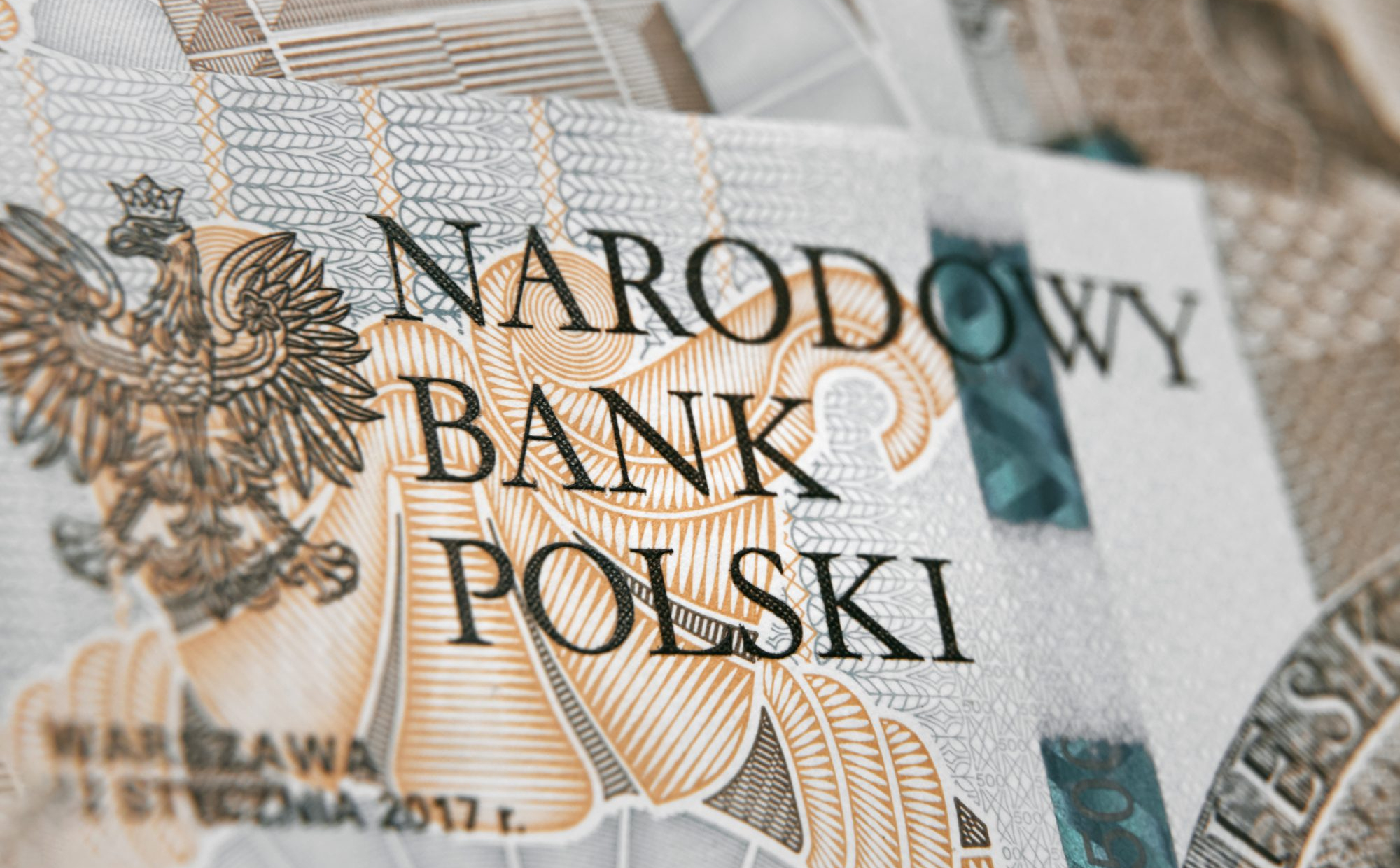 Złoty łatwo się nie poddaje