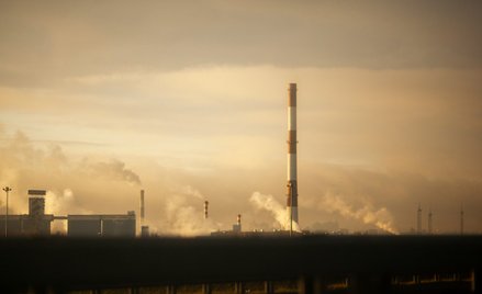 Dzisiejsze tempo zmian CO2 jest bezprecedensowe” – stwierdziła Kathleen Wendt, główna autorka badani