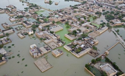 Powódź w Pakistanie: Wciąż rośnie liczba ofiar