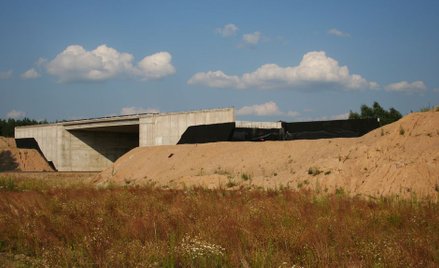 Odszkodowanie tylko za działkę, za straty – nie