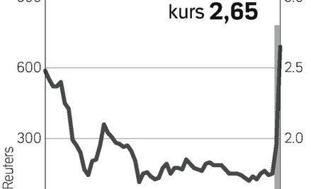 Zapowiedzi windują kurs