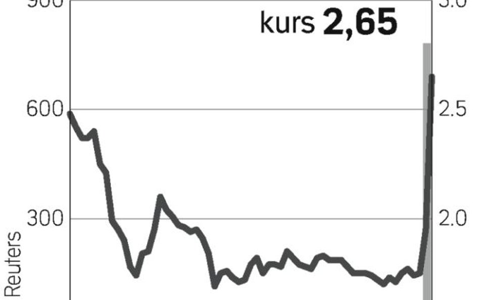 Zapowiedzi windują kurs