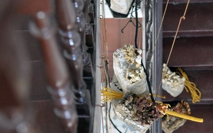 Iza Tarasewicz, The Means, The Milieu, 2015 (fragment),