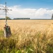 Stowarzyszenie SOISH o projekcie ustawy o świeckim państwie