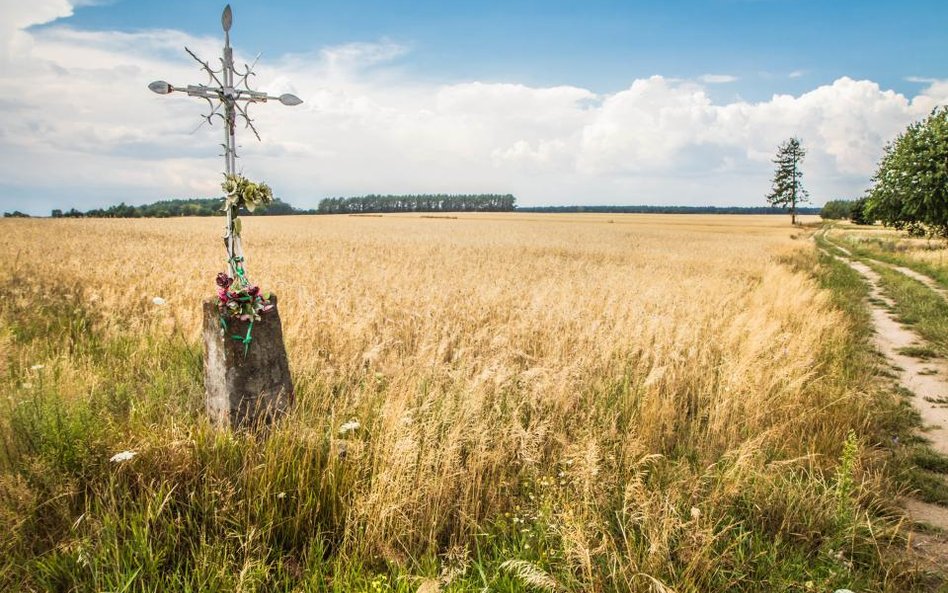 Stowarzyszenie SOISH o projekcie ustawy o świeckim państwie