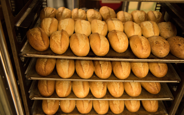 Już wkrótce chleb może kosztować w Niemczech równowartość prawie 50 złotych