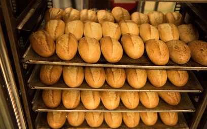 Już wkrótce chleb może kosztować w Niemczech równowartość prawie 50 złotych