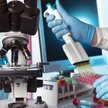 Pure Biologics: Potencjał ukryty w projektach
