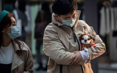 Chiny: Psy przestają być klasyfikowane jako "żywy inwentarz"