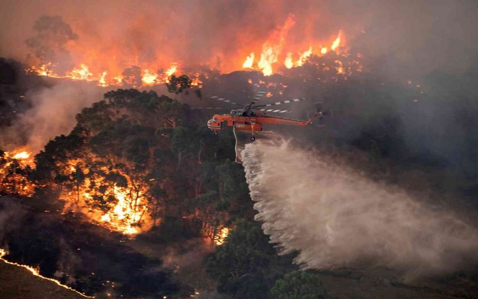 Klimatolog: Australia może stać się niezdatna do życia