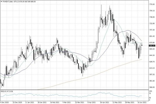 Notowania pszenicy w USA – dane dzienne