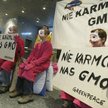 Zakaz użycia nasion GMO narusza dyrektywę