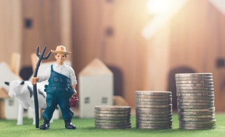Jak wyceniać składniki majątku wykorzystywane w działalności rolniczej