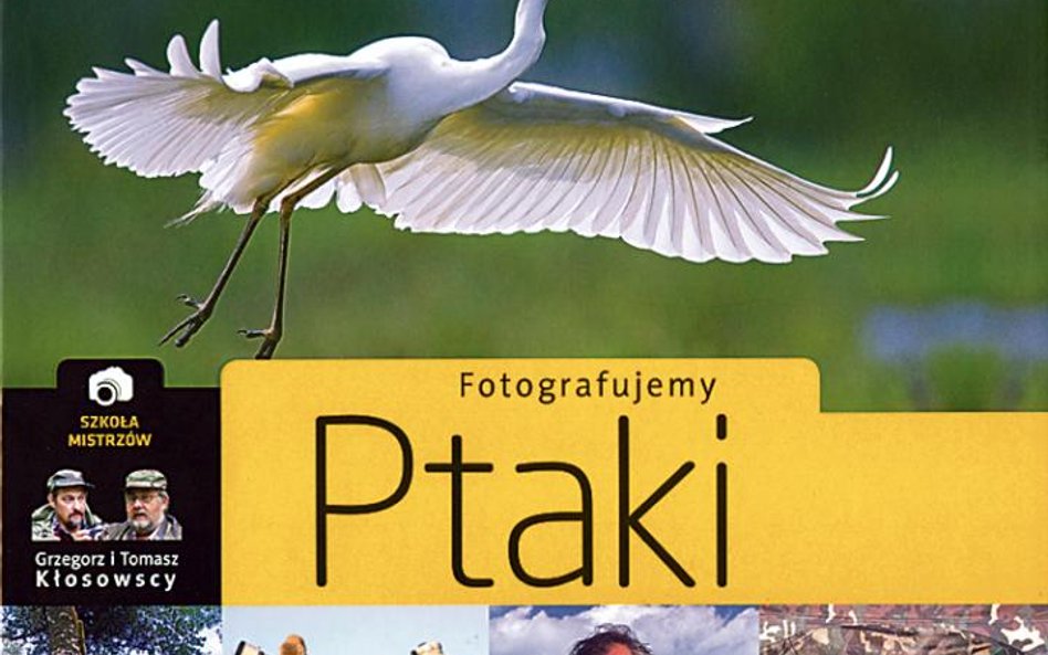 Podchodzenie żurawia