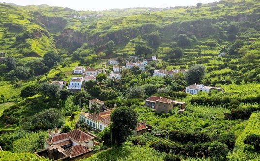 "nieruchomości w tropikach"