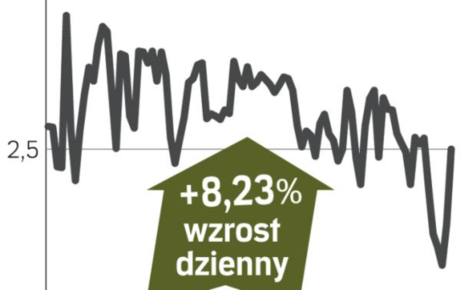 Air Berlin – spółka, o której się mówi we Frankfurcie