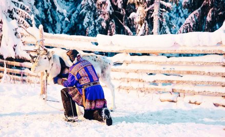 Całkowita wycinka lasu stanowi źródło poważnych konfliktów między spółkami leśnymi a wioskami Saamów