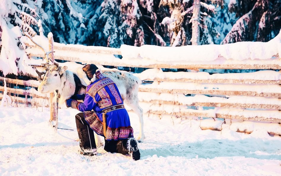Całkowita wycinka lasu stanowi źródło poważnych konfliktów między spółkami leśnymi a wioskami Saamów