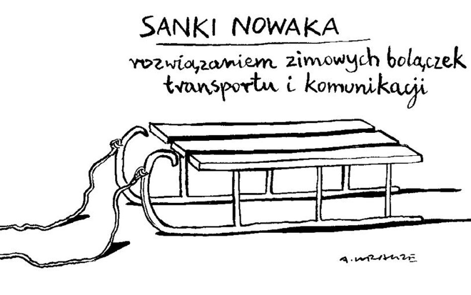 Komentarz rysunkowy. Sanki