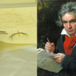 DNA Beethovena wyodrębniono z jego włosów