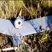 Zestrzelony przez ukrańską służbę graniczną rosyjski dron