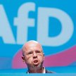Andreas Kalbitz wyrzucony z Alternatywy dla Niemiec przez zarząd federalny za radykalizm. Jednak poz