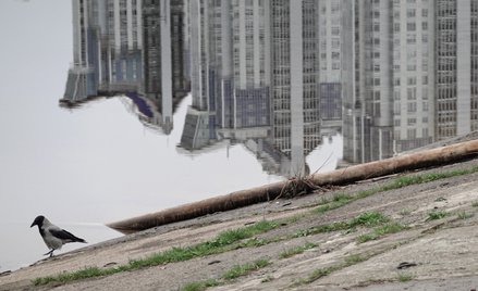 Budynki mieszkalne w Kijowie odbite na Dnieprze, 4 kwietnia 2024 r.