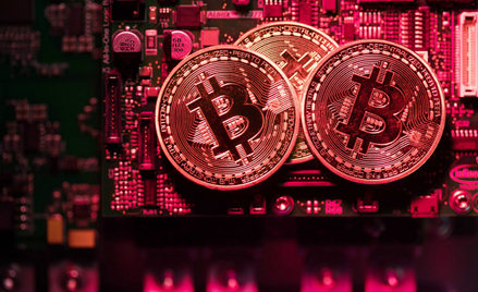 Rajdu bitcoina nie da się porównać z niczym